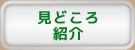 見どころ紹介